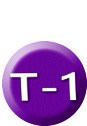  T-1