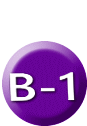 B-1